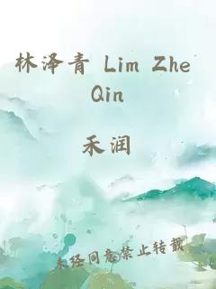 林泽青 Lim Zhe Qin